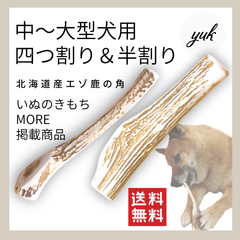 【24時間以内発送】中〜大型犬用　四つ割り&半割り　鹿の角　犬のおもちゃ　鹿の骨　E
