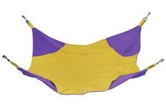 Item thumbnail for item 001689c1-2aba-47d9-8b2b-c75daeeb6960