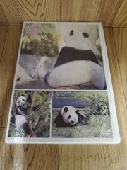 ミ215 癒されパンダ  リーリーとシンシン 新品未開封　DVD   早い者勝ち