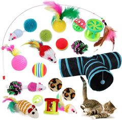 Item thumbnail for item 63015f4a-9f6d-4f03-9aec-5c7efb66282f