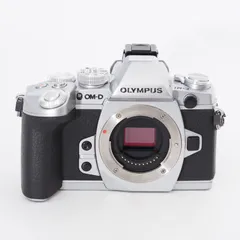 ◇値引き不可◇OLYMPUS OM-D E-M5MARKⅢ（シルバー）