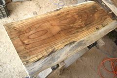 アウトレット ケヤキ(欅)の一枚板 長さ約104cm 幅約45～48cm 厚さ約5.9cm DIY用 Z022