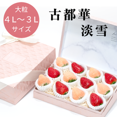 【大粒】とびふる宝石箱 奈良県産 紅白いちご