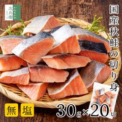 無添加 国産 天然 無塩 鮭 切り身 30g×20切 魚 骨取り 骨なし 秋鮭 冷凍 解凍せずにそのまま使える 塩なし 魚切り身 骨抜き ひとくちサイズ 加熱用 チャック袋入 さけ【C配送：冷凍】