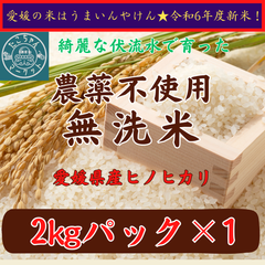 農薬不使用　無洗米　愛媛県産ヒノヒカリ　2Kg