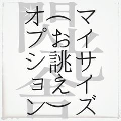 お誂えオプション【閃光舎】