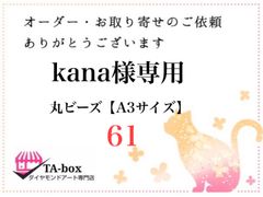 61☆kana様専用 丸ビーズ【A3サイズ】オーダーページ☆ダイヤモンドアート