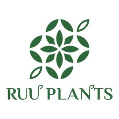 輸入植物のRUUPLANTS