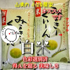 新入荷 みゆ様専用 新米農薬無し純こしひかり210㎏玄米 米 - business