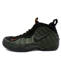 希少サイズ　美品　完売品　ナイキ　エアフォームポジットプロ　29cm エアフォームポジットプロ(AIR FOAMPOSITE PRO)/ナイキ 人気の