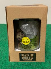 〇SPICE スパイス GLASS JAR WITH LED HAT2016S | ガーデン 植物 ドライ植物 造花 エアプランツ