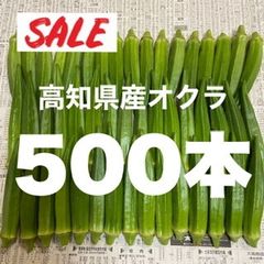 【お得‼️】500本 高知県産 オクラ 野菜 即購入OK 産地直送 wm558