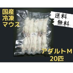送料無料　冷凍マウスアダルトM50匹 冷凍マウス アダルトM50匹 ※日時指定希望の方は必ず説明欄をお読み