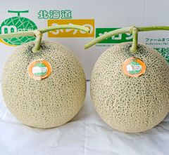 美味！最高級ふらのメロン　R113　秀品　大玉2玉入り