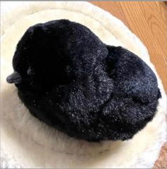 スズメさん専用出品 レビュー】オメガ × スウォッチ ムーンスウォッチの公式ラバー