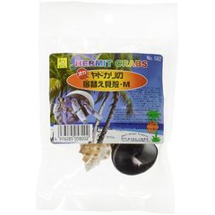 SANKO オカヤドカリの宿替え貝がらM 0