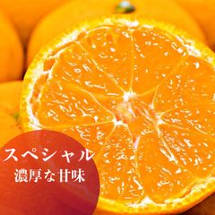 愛媛産　スペシャルみかん　濃厚　家庭用5kg