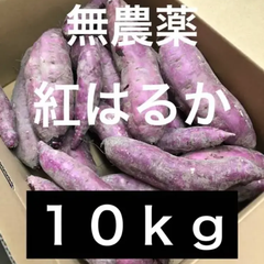 さつまいも　紅はるか　お得　１０ｋｇ