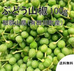 【予約販売】紀州ぶどう山椒（実山椒）　１００ｇ　青山椒　和歌山