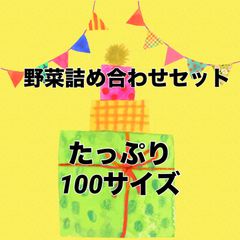 木曜日発送‼️野菜詰め合わせセット‼️たっぷり100サイズ