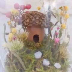 どんぐりのお家のミニチュアドーム　ドライフラワー　ガラスドーム　ジオラマ　オブジェ