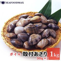 殻付き あさり 2Lサイズ 500g(31～40粒入)×２個セット 冷凍 ボイル加工済み 便利な殻つきアサリ ・殻付あさり2L【２Ｐ】・