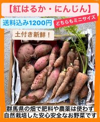 【ミニサイズ】なっちゃんの紅はるか・にんじん