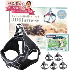 Item thumbnail for item 1d65a397-711f-48b8-a388-7fd4eaf3ae6d