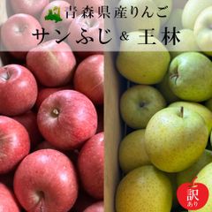 【新物訳あり】青森県産りんご食べ比べ（サンふじ＆王林）10玉（サイズ混合）　約2Kg