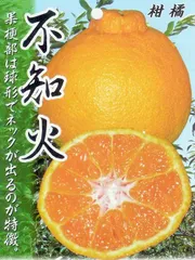 2025年最新】ぽんかんの人気アイテム - メルカリ