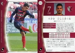 鹿島アントラーズユニフォーム　ペドロジュニオール 鹿島アントラーズユニフォーム ペドロジュニオール - メルカリ
