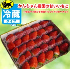 2025年最新】かんちゃん農園の人気アイテム - メルカリ