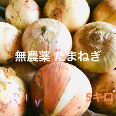 新玉ねぎ　たまねぎ　農薬不使用　５キロ