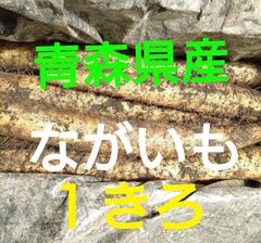 送料無料　ながいも　長芋　１きろ　青森県産　コンパクトBOXにて配送のサムネイル