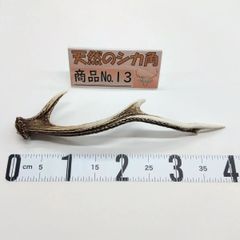 鹿の角 加工済み品 6本セット Amazon | 【鹿角】大小まとめて10個入 アクセサリー材料 | EG