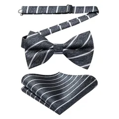 [HISDERN] 蝶ネクタイ メンズ ワンタッチ ボウタイ - ストライプ ネイビー ホワイト フォーマル ストライプ柄 蝶ネクタイチーフ セット 簡単着脱 調節可能 結婚式 パーティー bowtie BS1544V