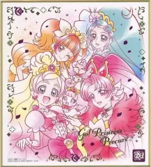 【中古】食玩 雑貨 Go!プリンセスプリキュア 「プリキュア 色紙ART-20周年special-」
