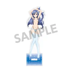 【新品】【HS限定】【再販】戦姫絶唱シンフォギアＧＸ アクリルスタンド 風鳴翼 B【正規品】