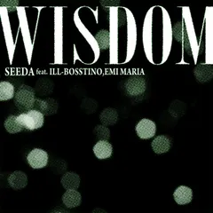 SEEDA ILL-BOSTINO MIC STORY サイン入り レコード Seeda Feat Ill Bosstino – Mic Story – Vinyl (12