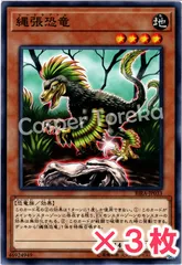 最終値下げ❗️ ライジングランペイジ box 未開封　日本版 2025年最新】rising rampage boxの人気アイテム - メルカリ