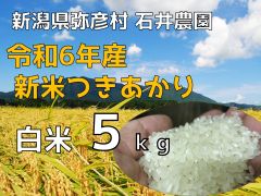 【24年産・送料込み】　令和6年産つきあかり【白米 5kg】　新潟県弥彦村 石井農園のサムネイル