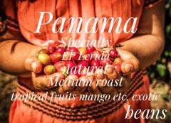 Panama Pacamara,SHB EP Lelida 100g