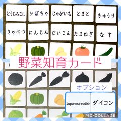 知育カード　野菜カード　神経衰弱　シルエットクイズ　マッチングカード　メモリーカード　視覚支援