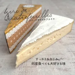 ブリー チーズ 170g 白カビチーズ 食べやすい フランス産 美味しい 毎日 パン フルーツ ジャム サンドウィッチ 定番 ワイン おやつ 無添加 人気 やさしい  優しい シンプル ギフト プレゼント やみつき 旨い バレンタイン ホワイトデー 送料込み