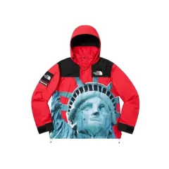 Supreme(シュプリーム) THE NORTH FACE(ザノースフェイス) 自由の女神 マウンテン ジャケット