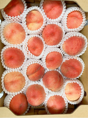 送料無料　大玉山形産硬くて甘い桃　　おどろき　　5.0ｋｇ/箱　　即日発送