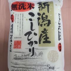 岐阜県産はつしも（精米）20k - メルカリ