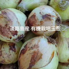 有機野菜セット8品＋おまけ 80サイズ - メルカリ