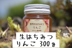 【生産者直送】 ハチミツ 蜂蜜　長野県産　非加熱　純粋　国産生はちみつ　りんご　300g