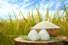 【受注後精米】特別栽培米　新潟県産コシヒカリ　白米10㎏　新米【令和6年産】